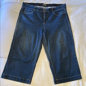 Terra & Sky Blue Ankle Cropped Jeans